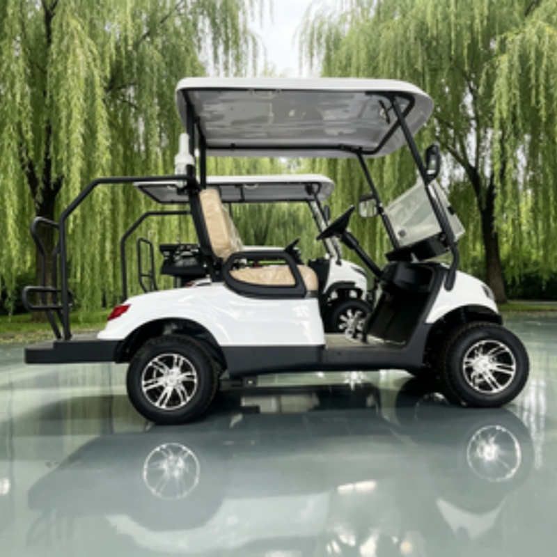 รถกอล์ฟไฟฟ้าจีน แบตเตอรี่ลิเธี - Golf Bag Stand Cart บทวิจารณ์และราคา
