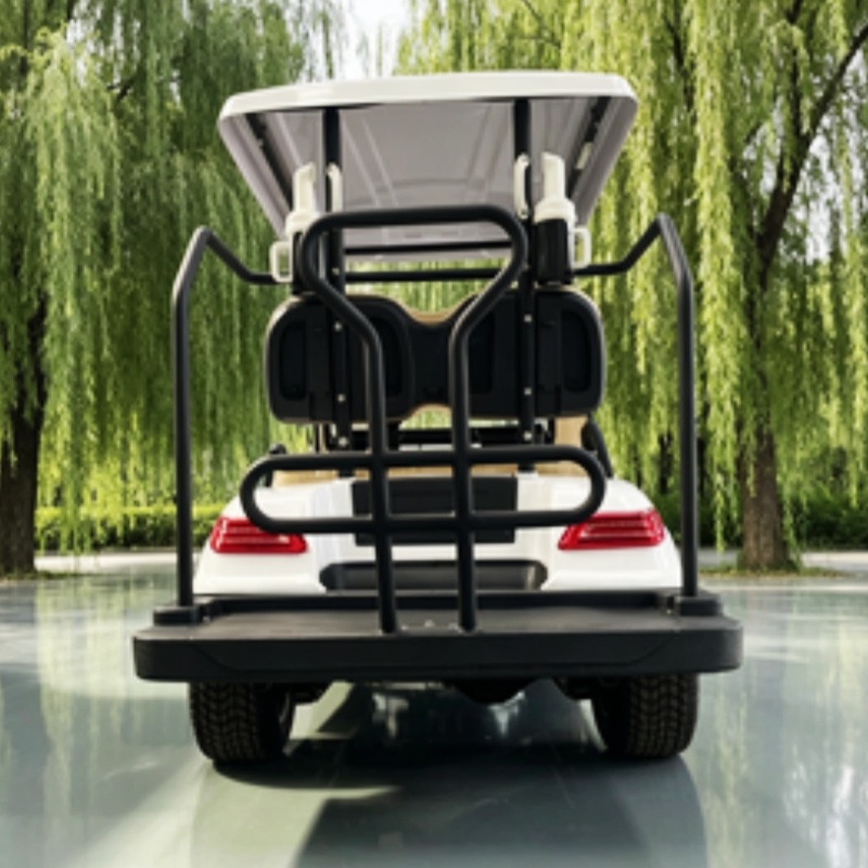 รถกอล์ฟไฟฟ้าจีน แบตเตอรี่ลิเธี - Golf Bag Stand Cart บทวิจารณ์และราคา
